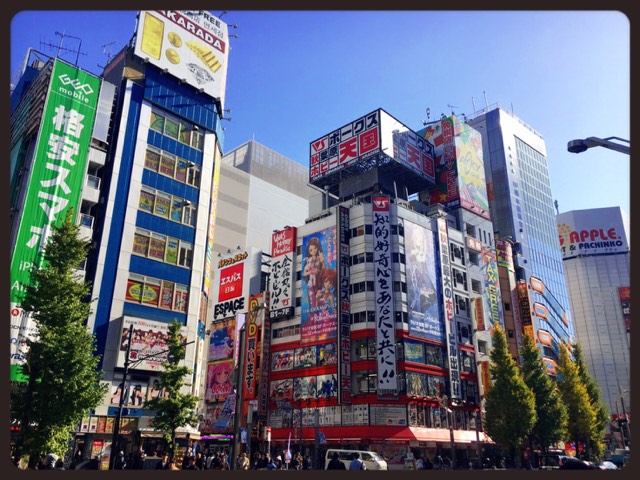 akiba